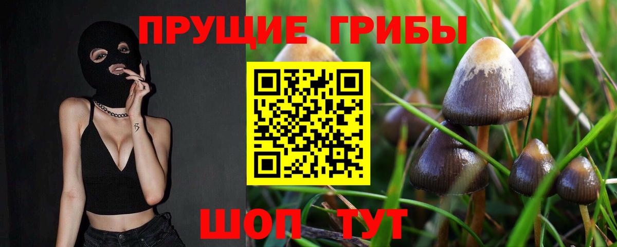Псилоцибиновые грибы ЛСД Домодедово