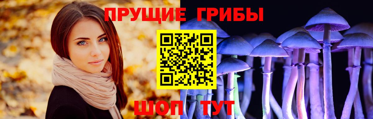 Галлюциногенные грибы прущие грибы  Галлюциногенные грибы мицелий  Домодедово  Вход с VPN 
